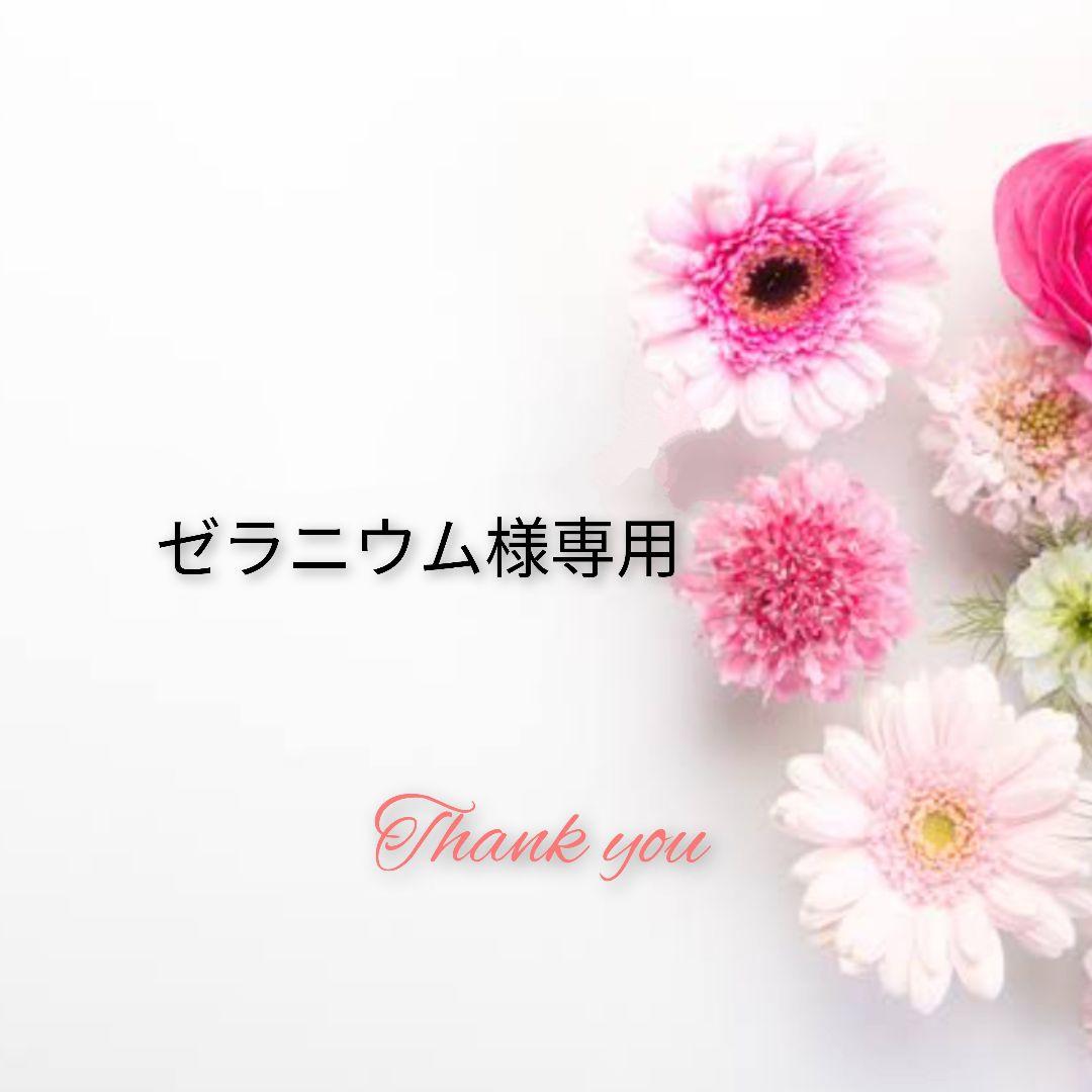 ゼラニウム　SALE LLサイズ中心　まとめ売り