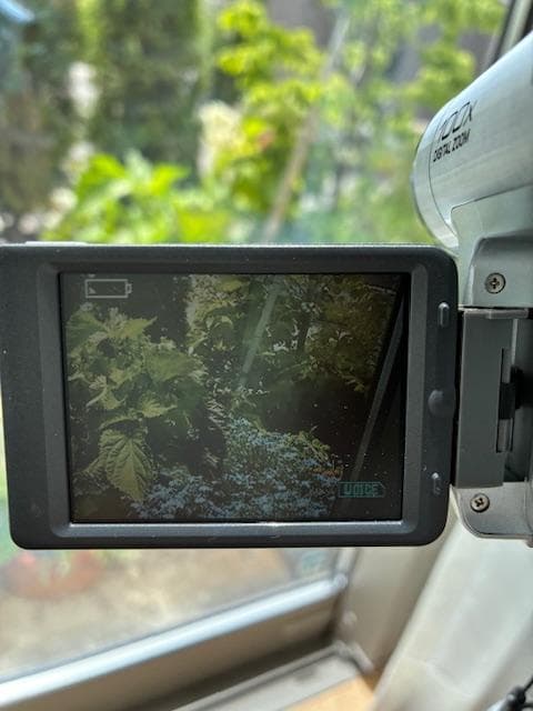 専用♪☆稼働品☆Panasonic NV-GS50 デジタルビデオカメラ