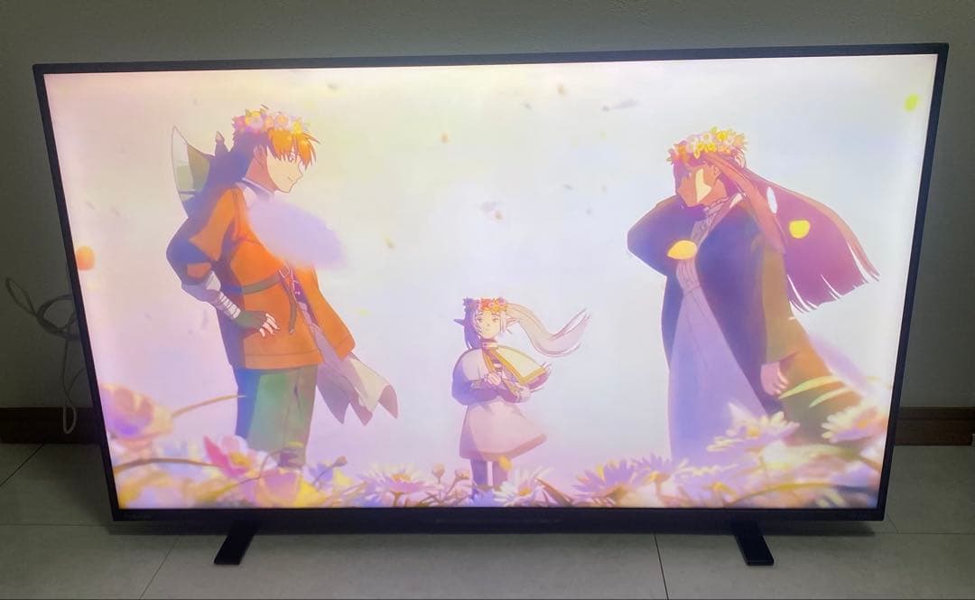 東芝 レグザ 43V型 43Z570L 4K液晶テレビ 2023年製 VOD