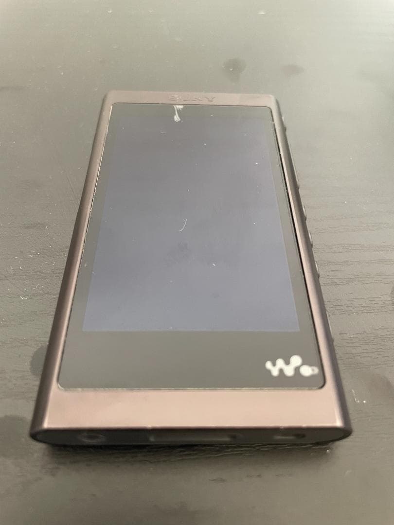 Sony Walkman A50 Series 16GB 充電ケーブル付