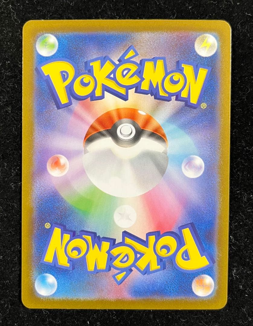 トウホクのピカチュウ　①