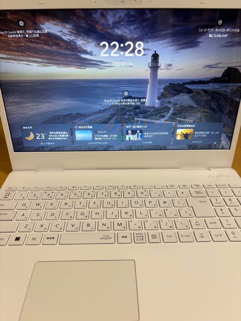 Lavie Direct N15 マウス 充電器付き