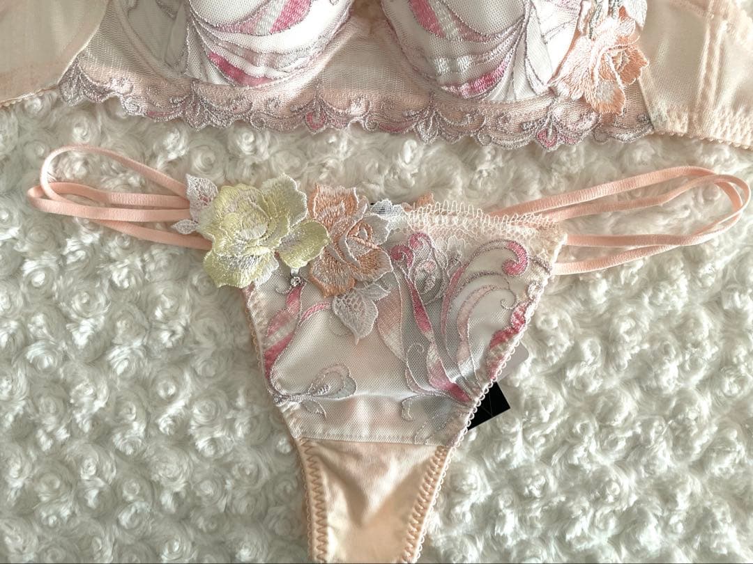 サルート/D65&M/66G