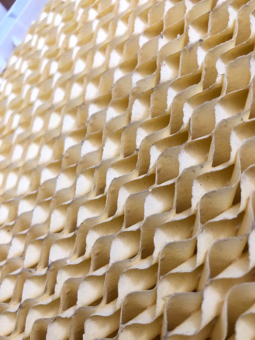 【2022年製】冷風機 アイリスオーヤマ