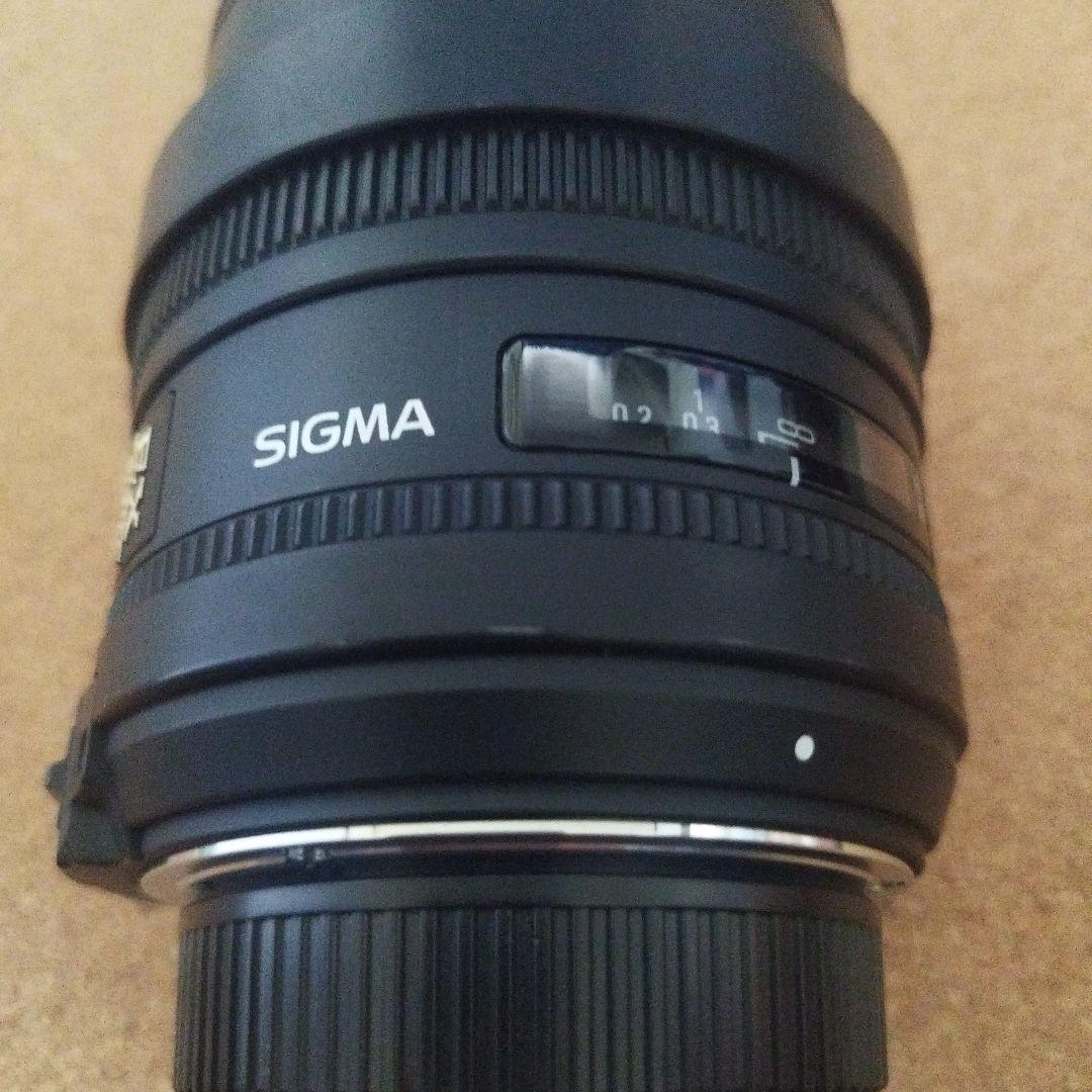 SIGMA 10mm F2.8 DC FISHEYE HSM　ニコン用　魚眼