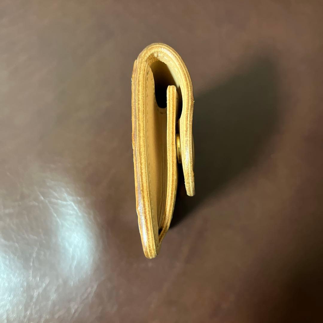 WILD SWANS TONGUE クロコダイル　レア！