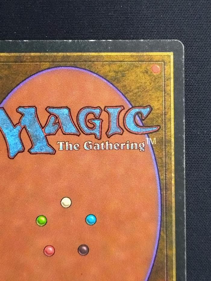 MTG Tropical  イタリア語 リバイズド黒枠 3EDBB