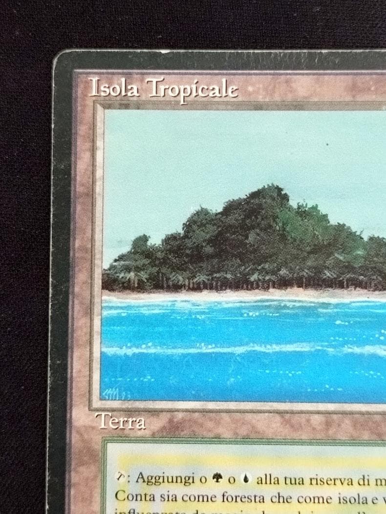 MTG Tropical  イタリア語 リバイズド黒枠 3EDBB