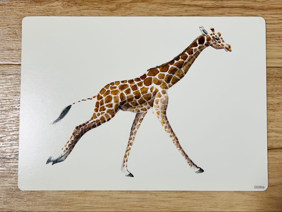 3時間限定値下げ【フラッシュカード かな絵ちゃん】 A/B/Cセット 七田式