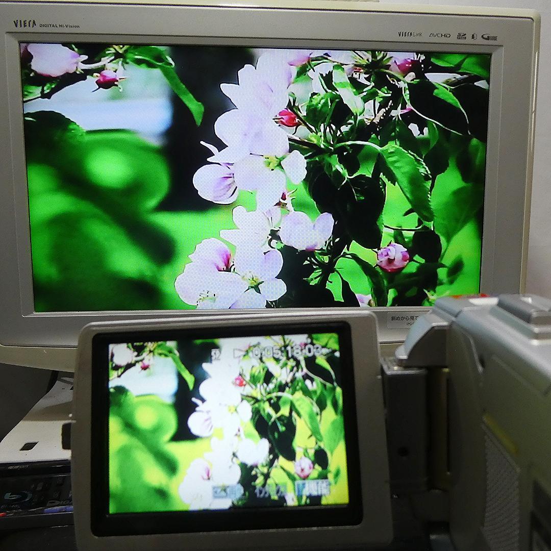 動作品 ソニーDCR-TRV50 MiniDV ビデオカメラ DVDダビングに