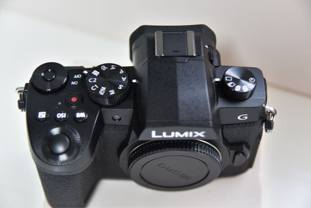 美品　LUMIX G99