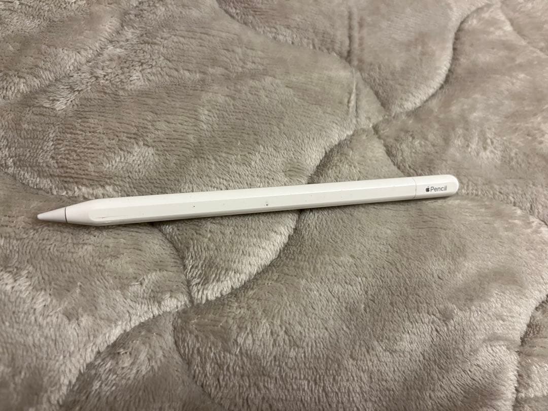 Apple Pencil USB-C とADAMペンシルのセット
