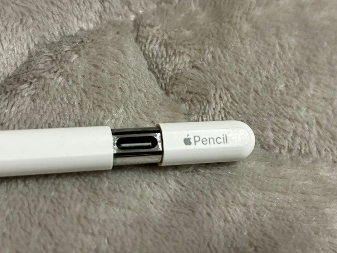 Apple Pencil USB-C とADAMペンシルのセット