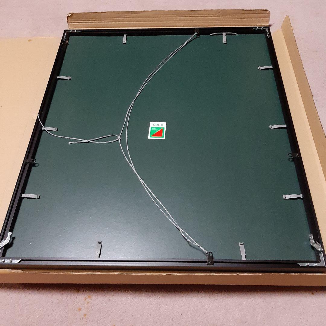 フジカラー A300 全紙 アルミ額縁