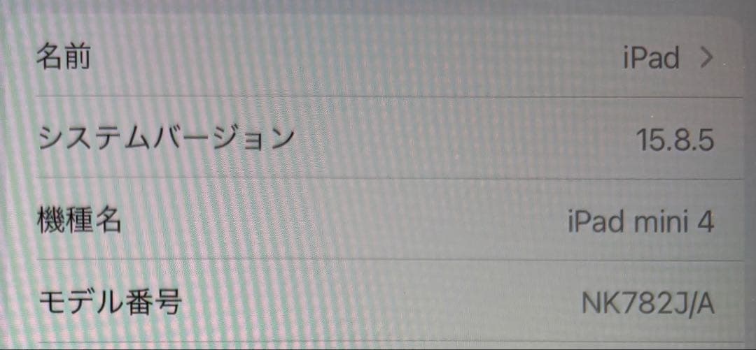 【美品】iPad mini 第4世代 Wi-Fi+cellular 128GB