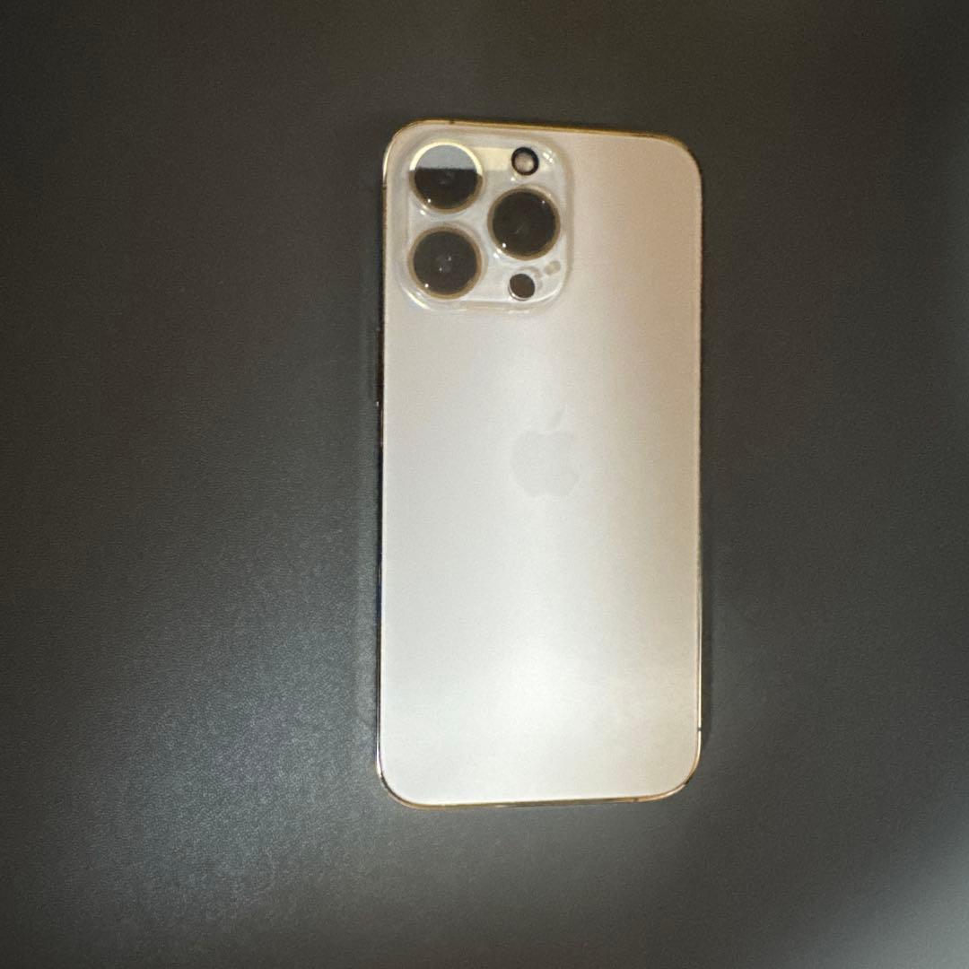 Apple iPhone 13 Pro と ケース4種類　秋さま専用