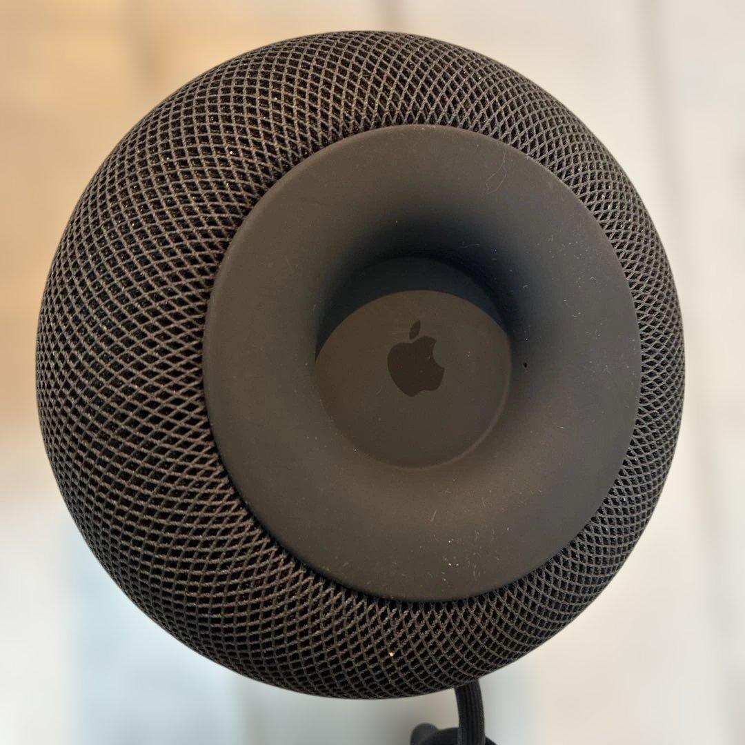 Apple Podスペースグレイ第一世代(ジャンク)