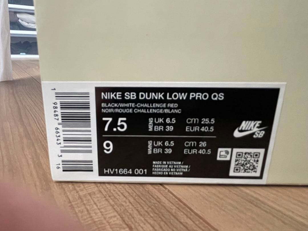 Bronx Girls Skate × Nike SB Dunk Low Pro