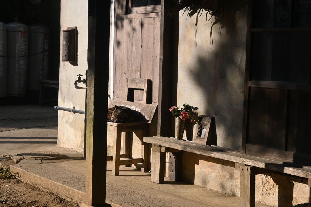 Nikon Z 30 DX 16-50 Kit 本体