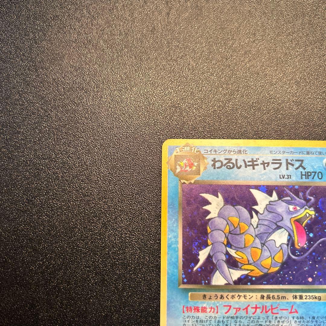 わるいギャラドス Lv.31 No.130