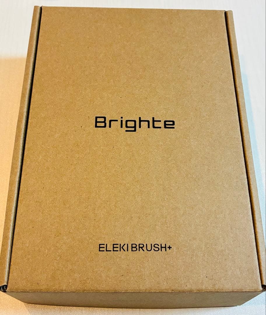 エレキブラシプラス ミッキー