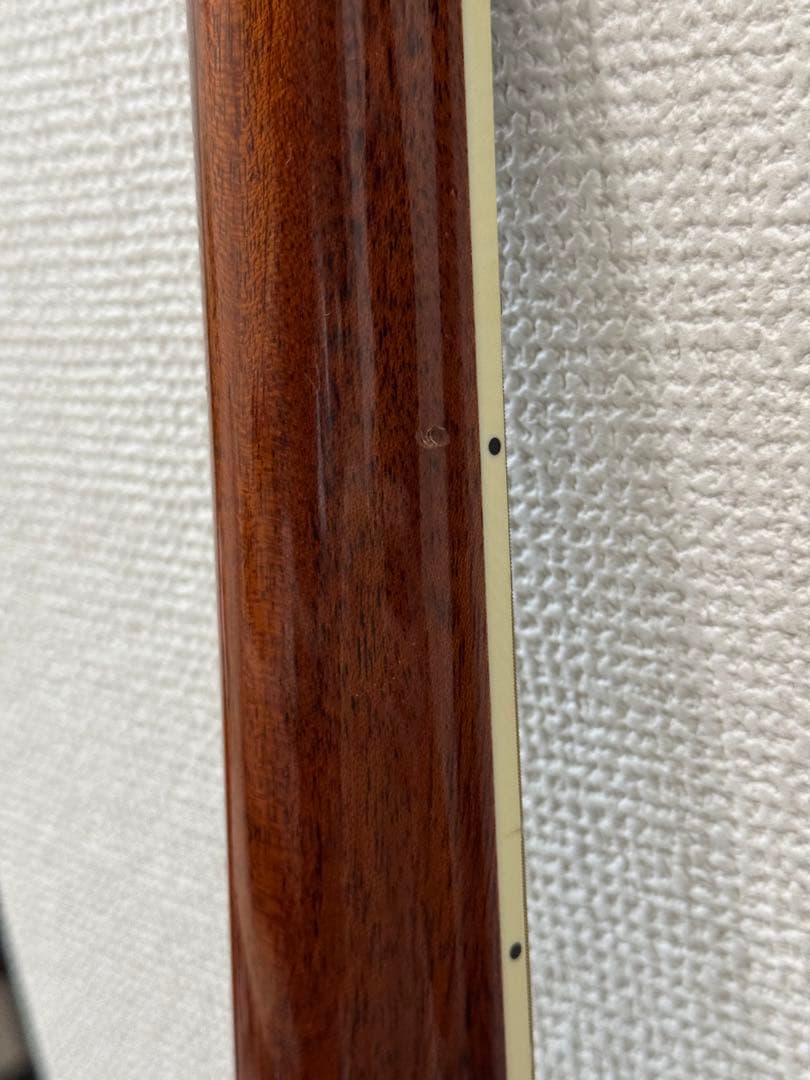 【お得】James JF350NAアコースティックギター ハードケース付き