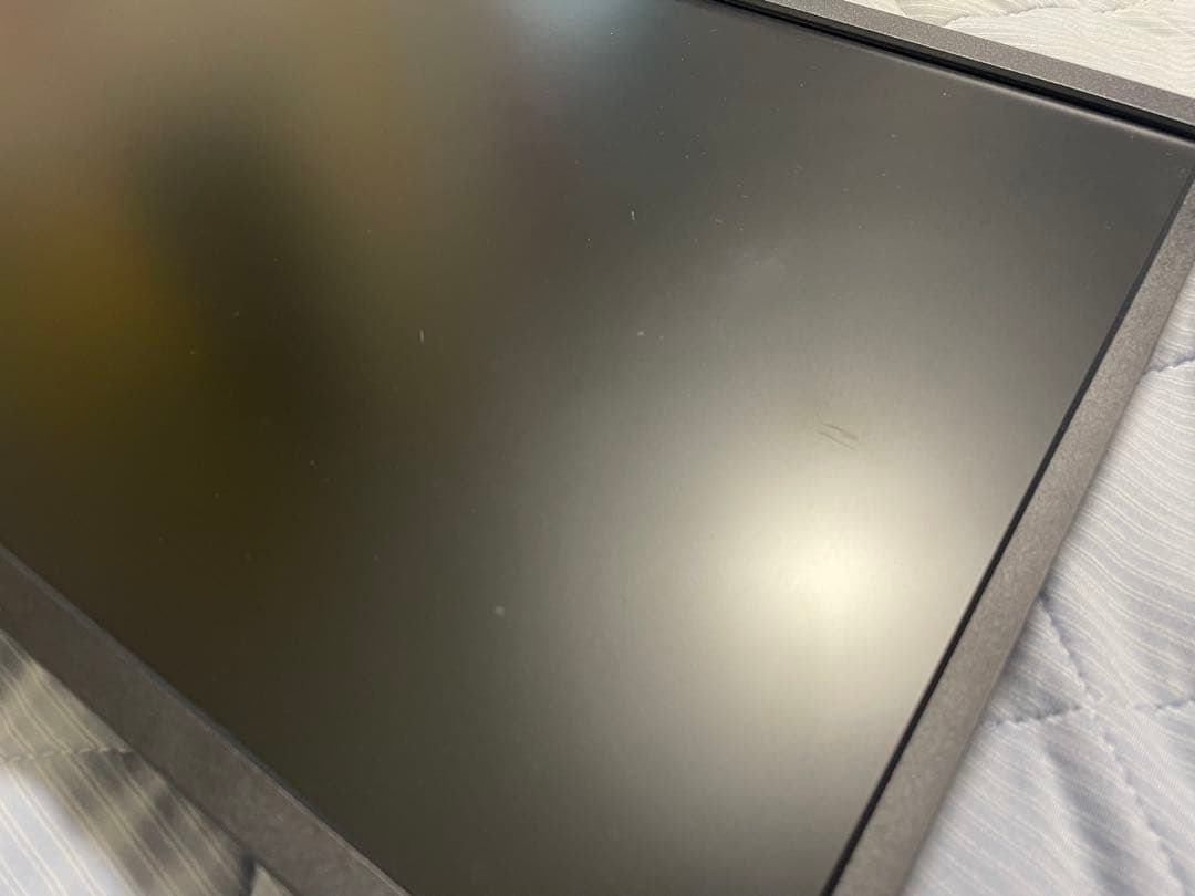 IODATA GigaCrysta モニター EX-LDGC251UTB