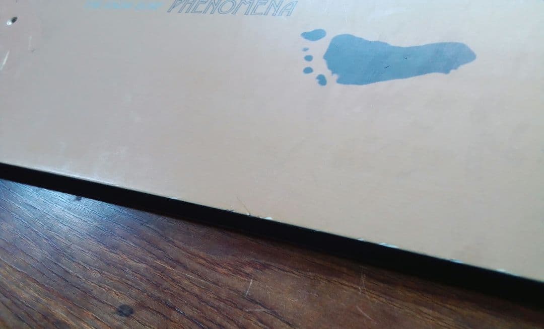 スノーボード GENTEMSTICK PHENOMENA