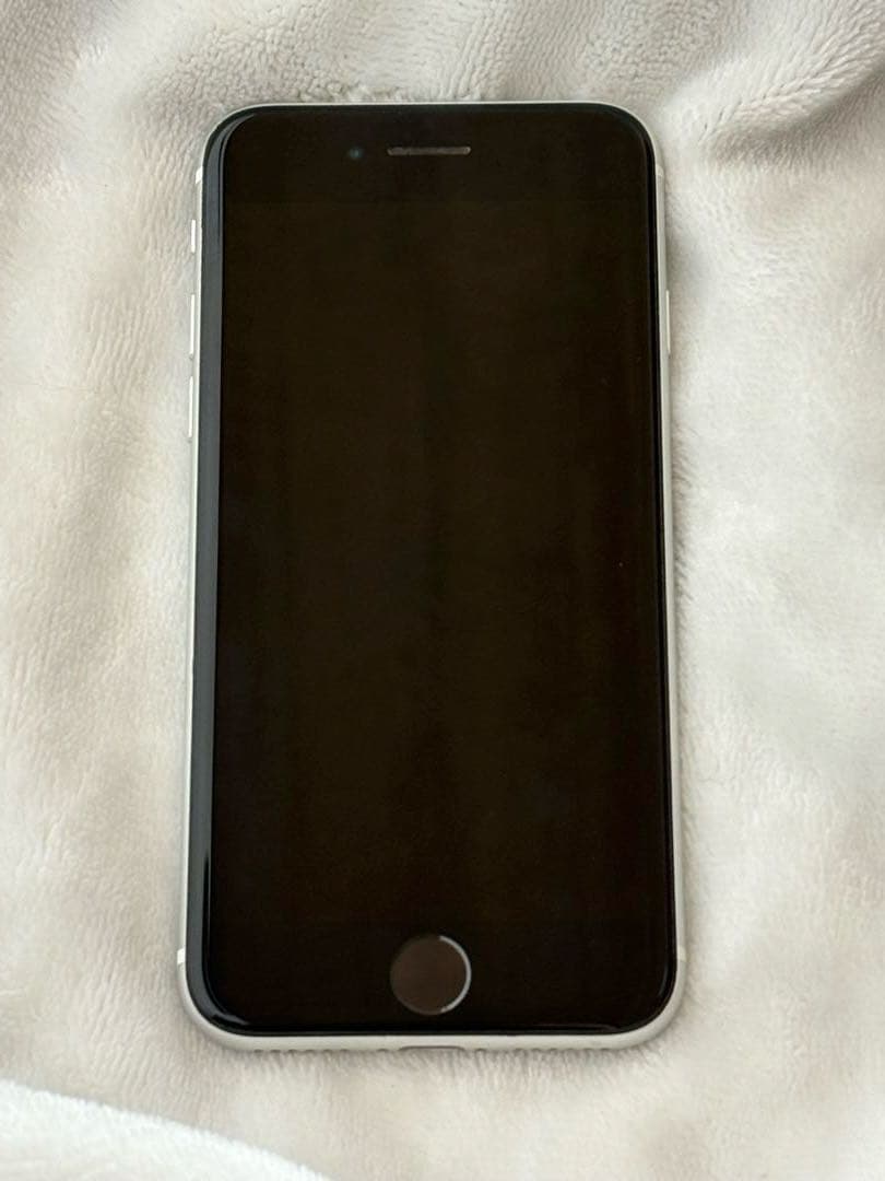 Apple iPhone SE 第二世代　ホワイト 本体　ジャンク