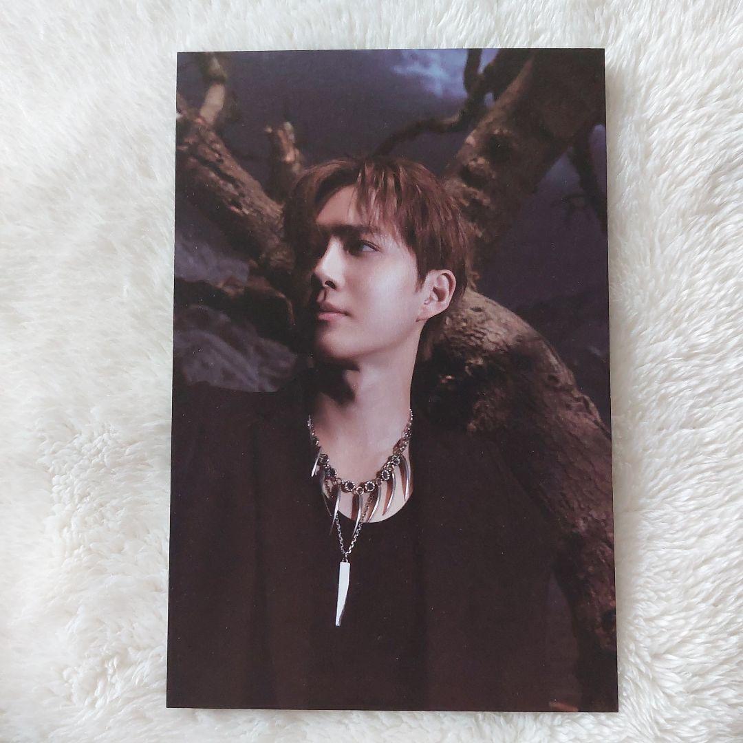 EXO【REVERXE】ユニットトレカ EX-VISION トレカ、ポスカ付き