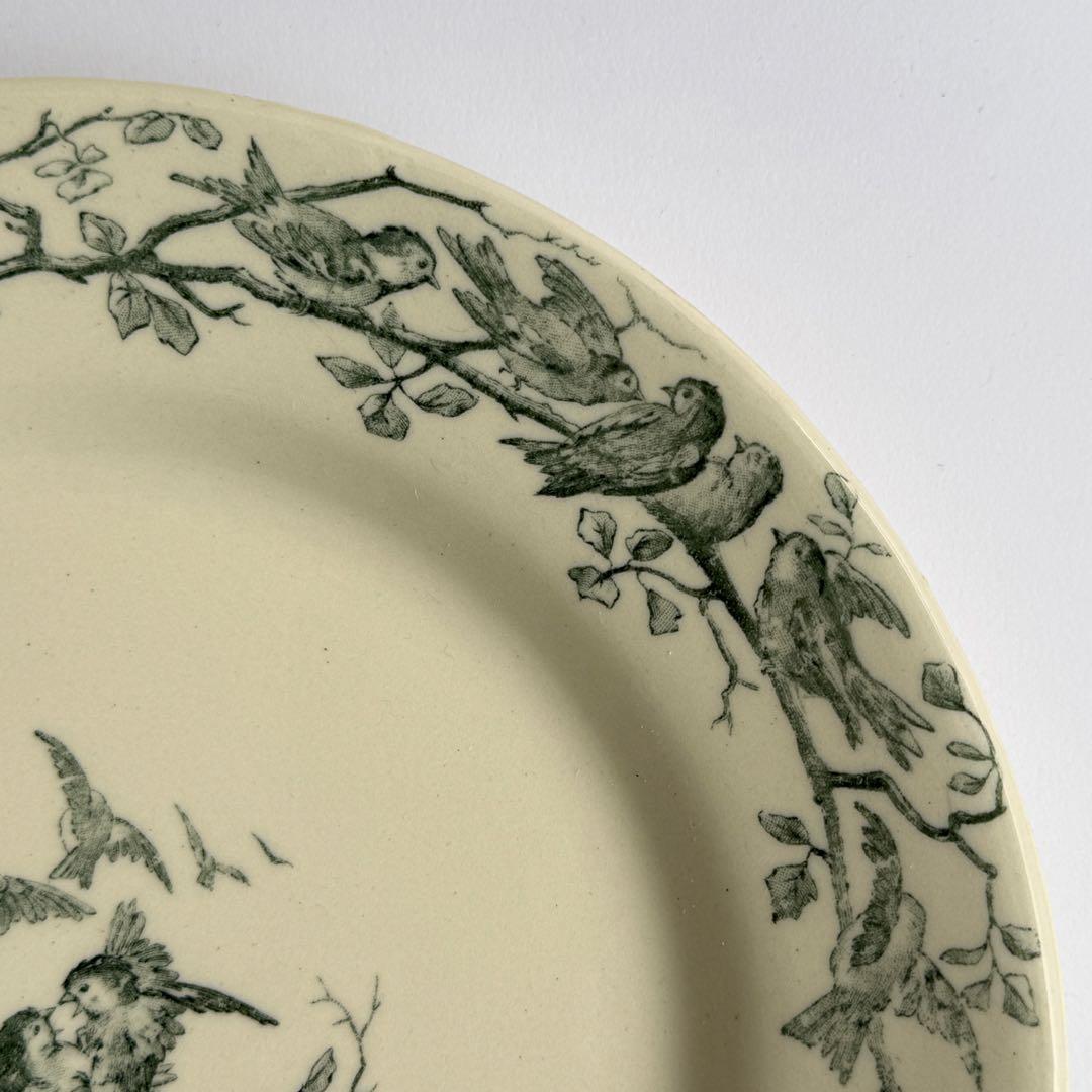 美品　フランスアンティーク　Gien AVIARY ディナープレート