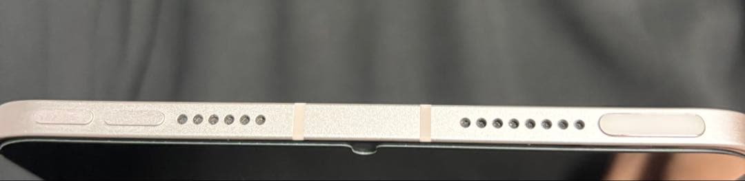 iPad mini 6 256GB セルラー Apple Pencil付