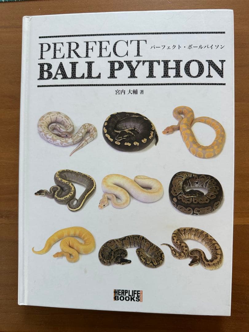 パーフェクト　ボールパイソン　PERFECT BALL PYTHON