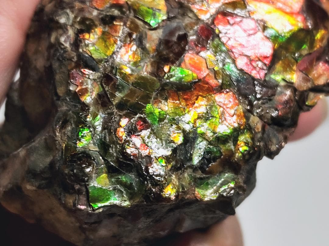 アンモライト 232g 化石 アンモナイト 水晶 鑑賞石 原石 自然石 宝石