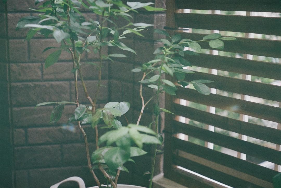 【値下げ】レンジファインダーカメラ シルバー