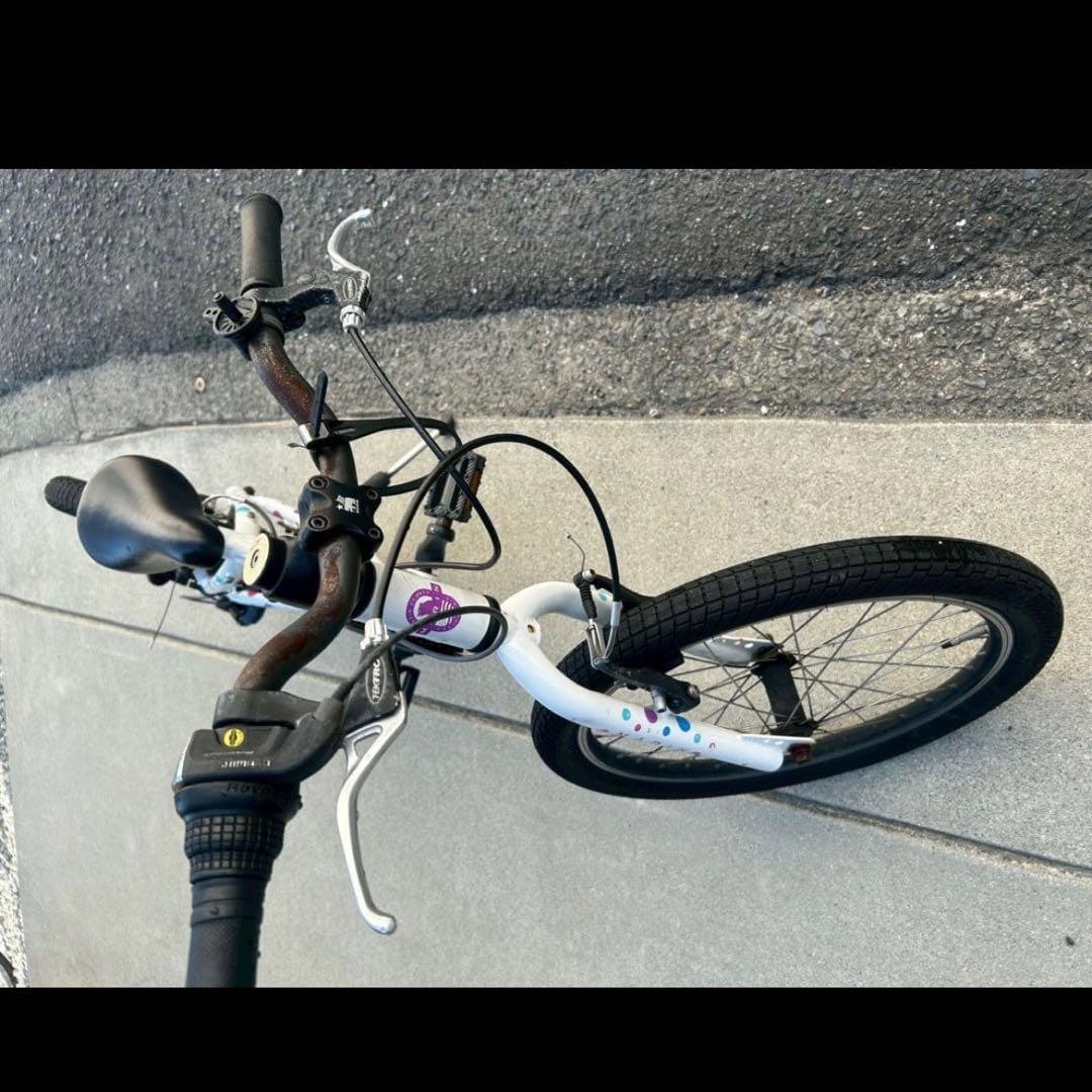 【20インチ】MARIN 2019年モデル DONKY Jr ドット 子供用