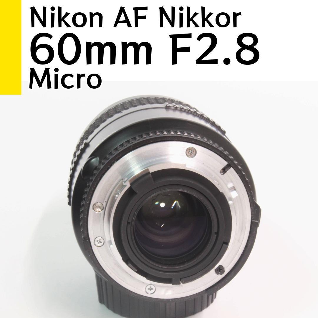 ニコン Nikon AF Micro Nikkor 60mm F2.8 試写あり