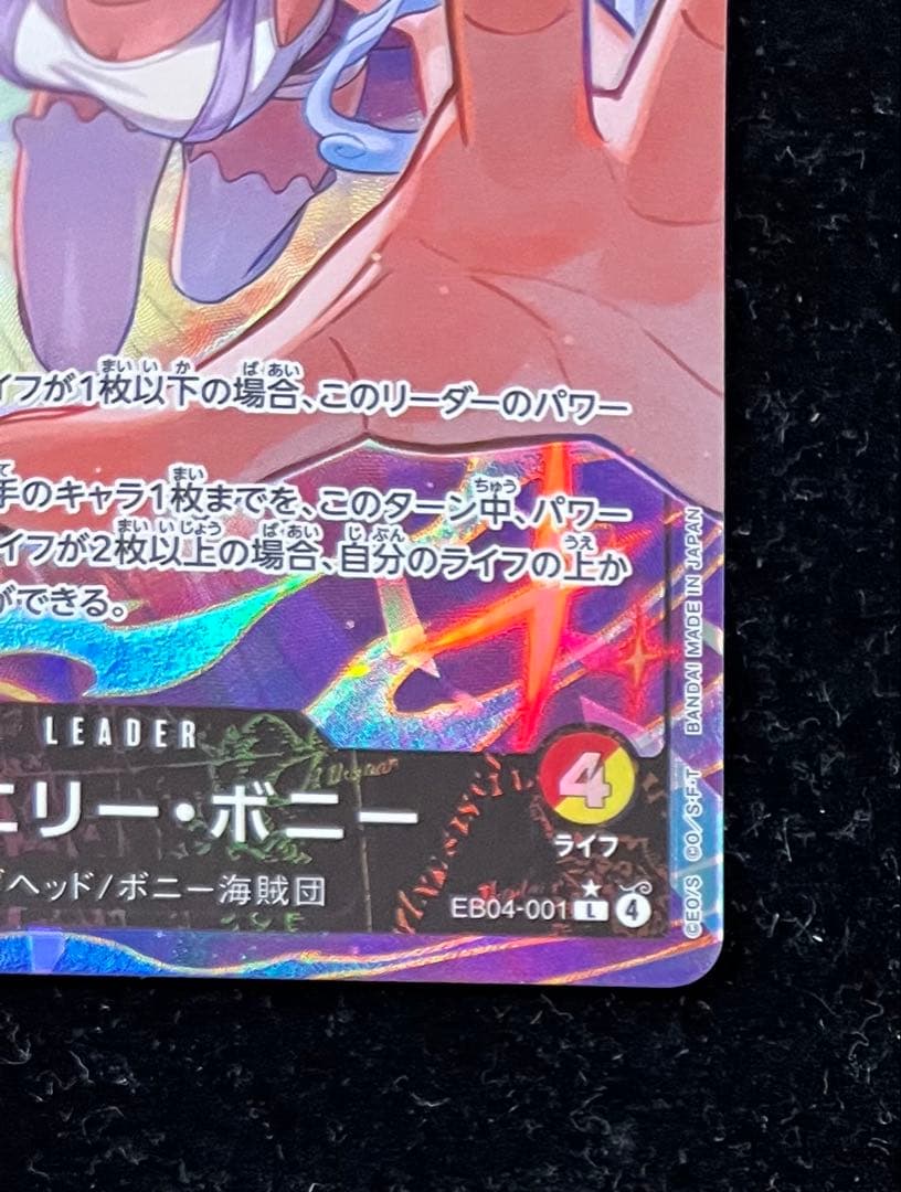 ボニー　リーダーパラレル　②