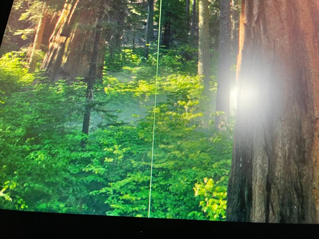 （ジャンク）XP-Pen Artist 13.3 Pro