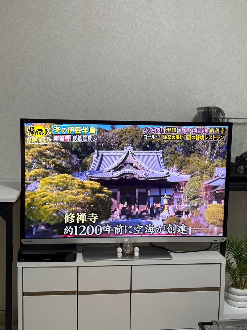 テレビ40インチ　レグザ（REGZA）　東京都引取