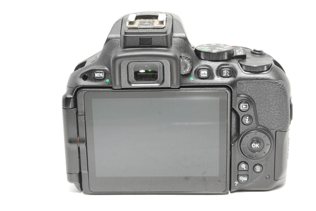 ★ゆう★　届いてすぐ撮影OK Nikon D5500 高画質モデル