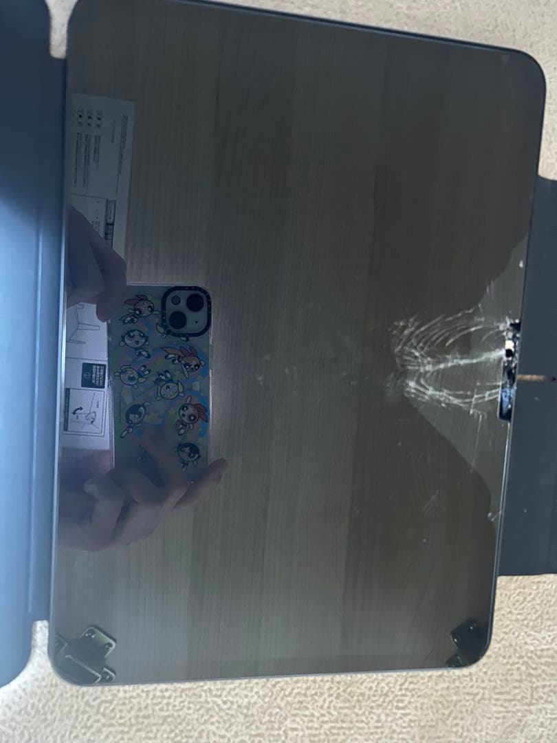 iPad pro 11インチ 第五世代(M4チップ) ジャンク品