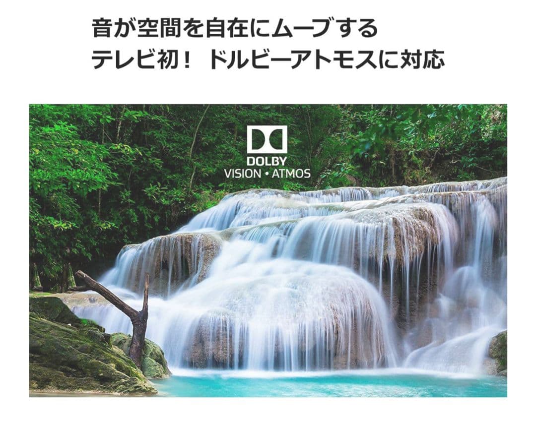 LG 55V型 有機EL テレビ OLED55B7P 4K HDR対応