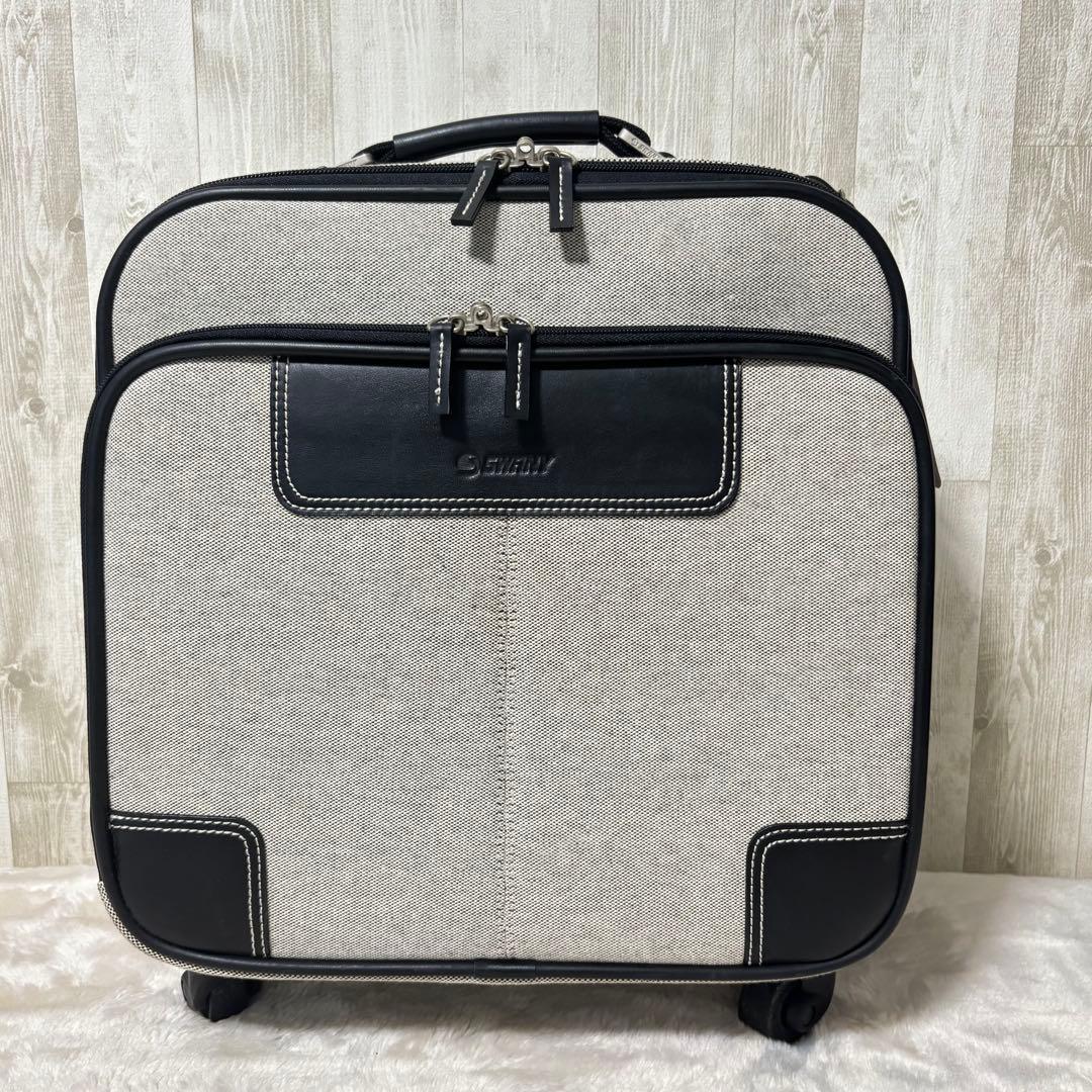 SWANY キャリーバッグ　キャンバス　機内持込サイズ