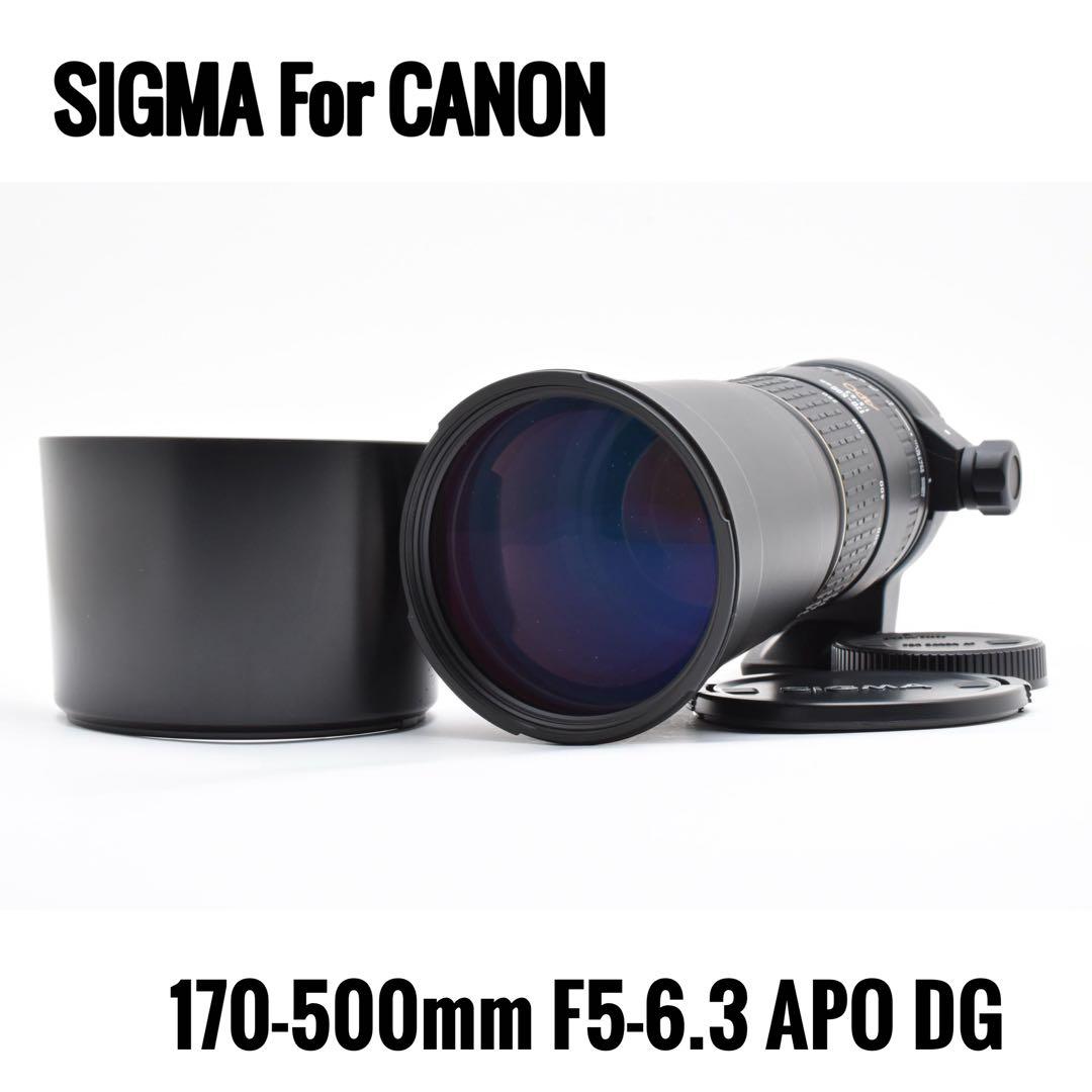 キヤノン用 SIGMA 170-500mm F5-6.3 APO DG