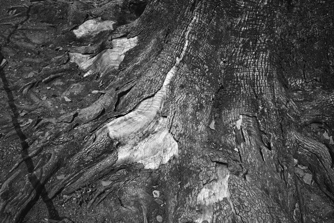 【本日限定価格！】 Minolta M-Rokkor 28mm f2.8