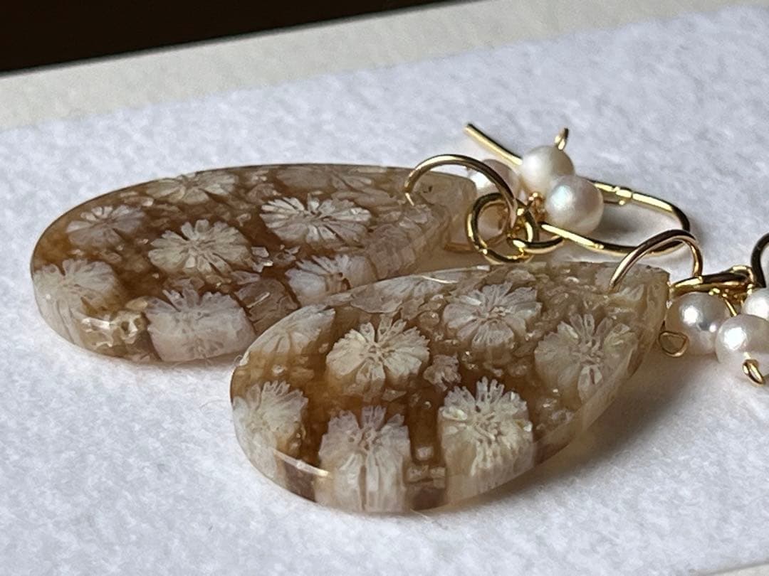 なまけもの　14kgf 透け感綺麗なフォッシルコーラル ピアス