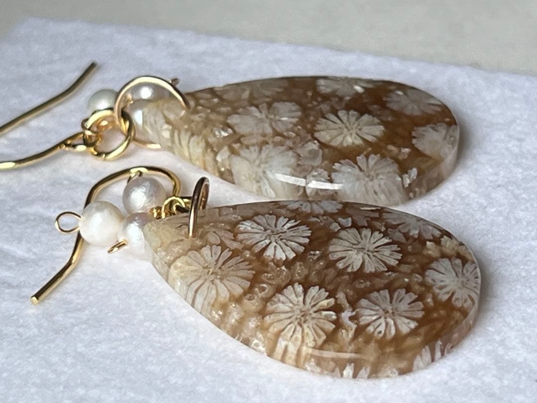 なまけもの　14kgf 透け感綺麗なフォッシルコーラル ピアス