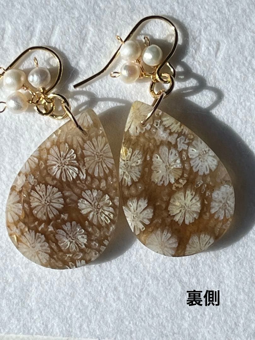 なまけもの　14kgf 透け感綺麗なフォッシルコーラル ピアス