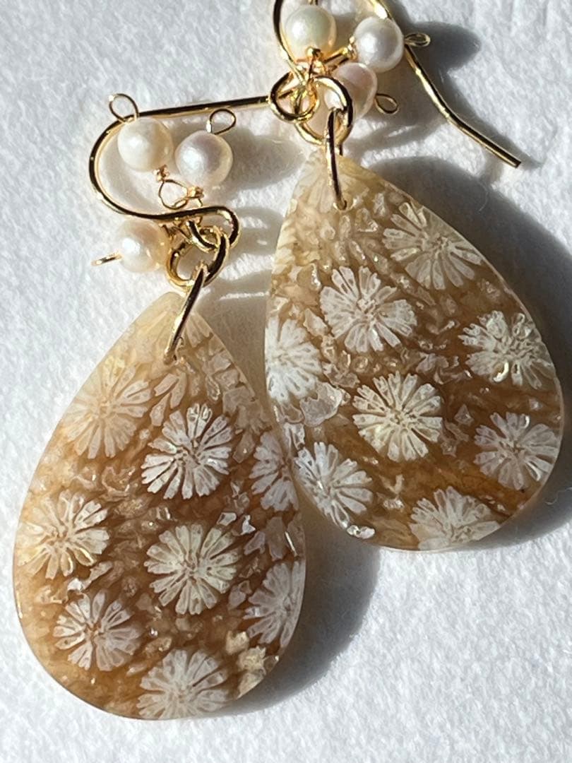 なまけもの　14kgf 透け感綺麗なフォッシルコーラル ピアス